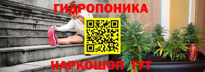 крисы Заводоуковск